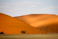 The iconic orange sand dunes of Sossusvlei in Namibia. 