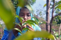 Why transboundary conservation matters