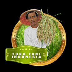 Is that Jokowi?: Rice sack model mistaken for President