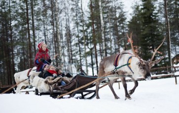Finnish indigenous Sami seek to end 'exploitative tourism'