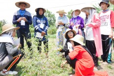 Climate change already affecting food production, expert warns