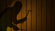 Magpies, lovebirds worth Rp 16 million stolen in Bekasi