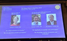 Trio win Nobel Chemistry Prize for research harnessing evolution