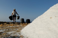 Maltese family keeps ancient salt-harvesting tradition alive