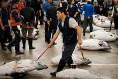 Going, going, gone! Tokyo's Tsukiji holds last tuna auction before move