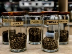 Coffee-themed photo exhibition to entertain international passengers at Bali airport