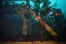 40 years on, Brittany tanker wreck is magnet for divers