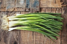 Shiseido finds 'stress smell' similar to green onion