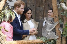 Harry and pregnant Meghan get baby gifts, meet koalas Down Under