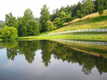 A famed foodie destination replaces gluttony with wellness