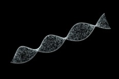 How can genetic data be better encrypted? Researchers find a way