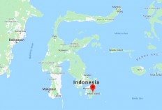 Partygoers burn police vehicles after being denied dancing