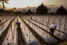 Killing seeds of food security