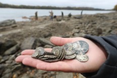 Dry Danube reveals hidden treasure in Hungary