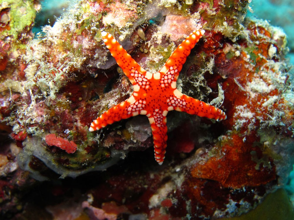 Insight: There’s only one ocean. This is its moment