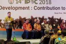 Gapki says B20 policy to raise global CPO price