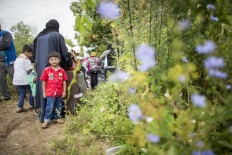 Canada planning to increase expulsions of illegal immigrants: Report