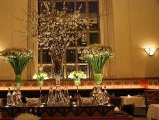 Michelin awards stars to 76 NYC restaurants