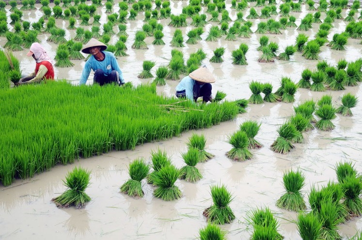 Why is food self-sufficiency unachievable?