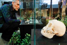 Understanding flo the 'hobbit' of Liang Bua