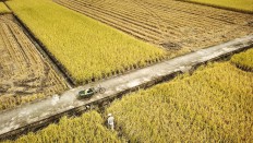 2024 was China's hottest year on record