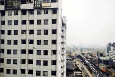 Jakarta must build upwards for more space