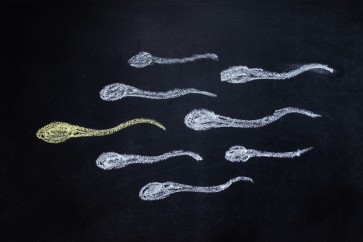 Climate change may zap male fertility, scientists find