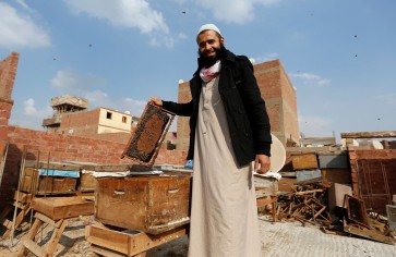 Beekeeper therapist uses venom to heal his patients