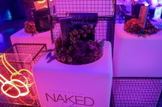 Urban Decay releases new Naked Cherry palette