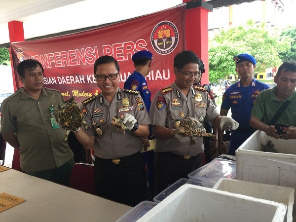 Police foil attempt to smuggle protected birds, turtles to Malaysia