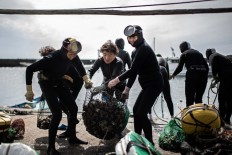 Japan's 'ama' grannies cling to their freediving fishing tradition