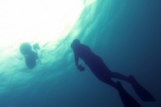 Govt should reassure public of health, safety to boost diving tourism: Association