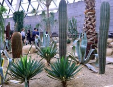 Botanical garden opens in Seoul