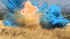 It's a boy -- and a massive wildfire at US gender reveal party