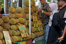'King of fruit' reigns as durian festival gathers crowd