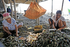 Jakarta flood management requires paradigm shift from 'control' to 'adaptation'