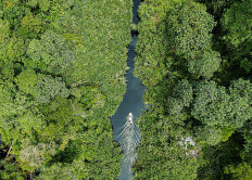 Huge area: RER manages 130,000 hectares in Kampar Peninsula, an area twice the size of Singapore
