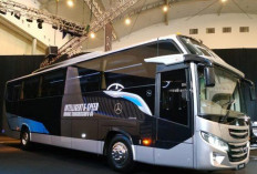 Daimler launches new two bus models