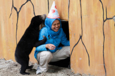 Bandung Zoo celebrates sun bear's birthday to respond to public concern