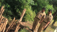 Another landslide hits South Jakarta