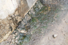 Residents caused tidal flooding in North Jakarta but should not be blamed: Anies