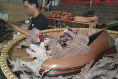 Bandung shoemaker creates footwear from chicken feet