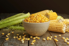 A-maize-ing genetic sleuthing rewrites history of corn