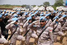 Blue Helmets: Model for global partnership