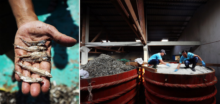 Up to 14 tons of anchovies go into one barrel, which holds 3,000 liters to 5,000 liters of fermenting sauce.