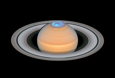 Saturn is eating away its icy rings: NASA