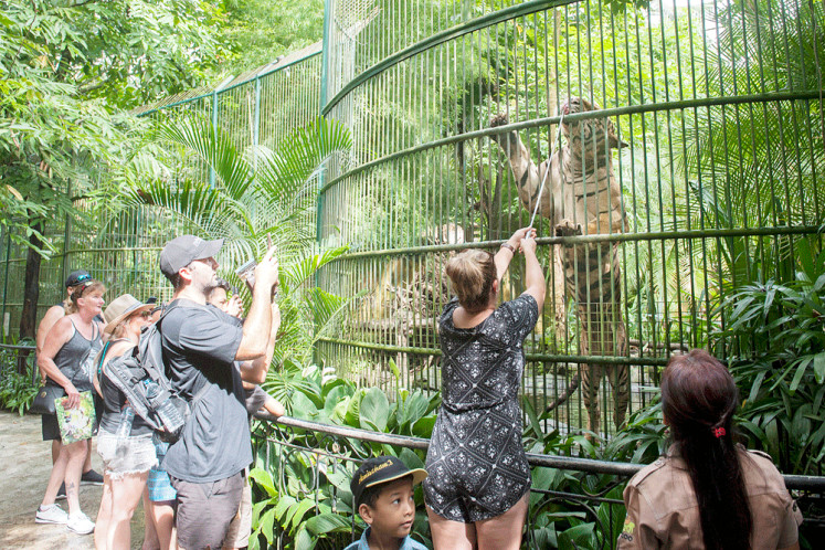 A visitor feeds a Bengal tiger at Bali Zoo in Gianyar, Bali, in this file photograph. 
