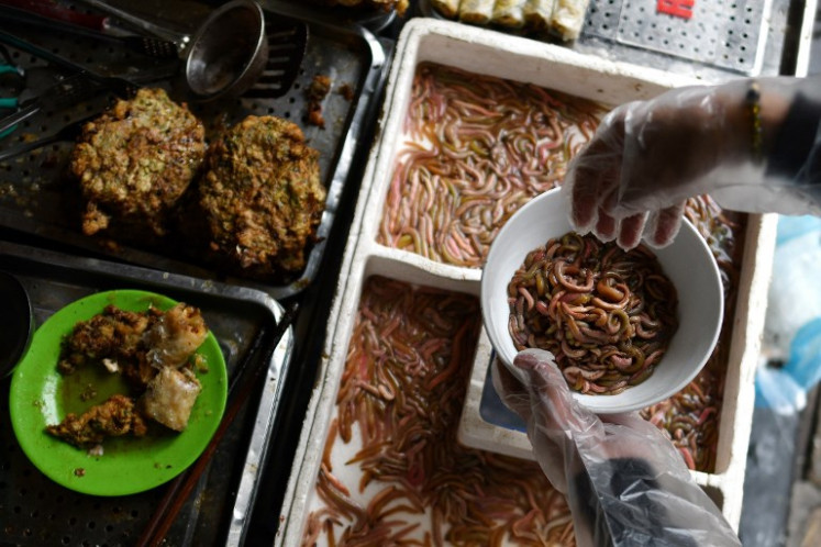 Vietnamese woman Bui Thi Nga putting 'cha ruoi' ragworms in a bowl to prepare patties at her stall in the old quarters of Hanoi. Crispy, fried and packed full of worms: Hanoi's 'cha ruoi' ragworm fritters are a winter foodie favourite in the Vietnamese capital, but the deep-fried delights are not for the squeamish.
