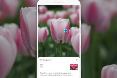 Google Lens can now recognize over a billion items  