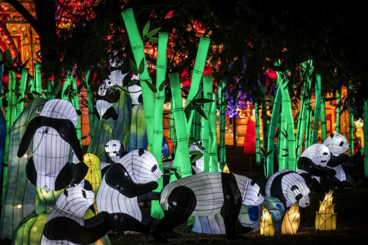 Giant lanterns depicting pandas. 